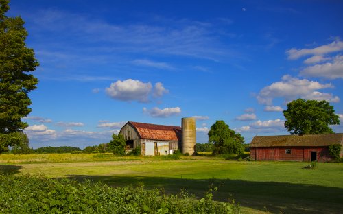6 Top Farm Stays for Families
