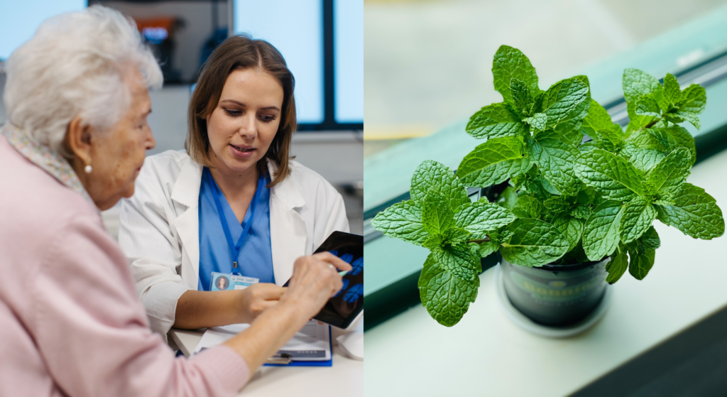 Alzheimer’s patients could see cognitive improvements by simply smelling herb, study says