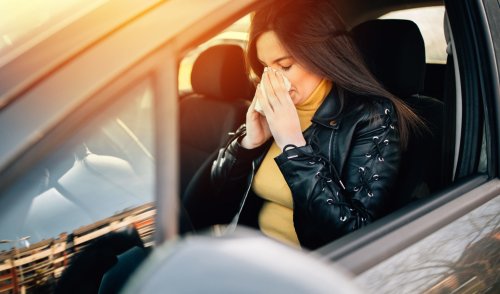 7 pollen-busting tips to help you drive safely during hay fever season