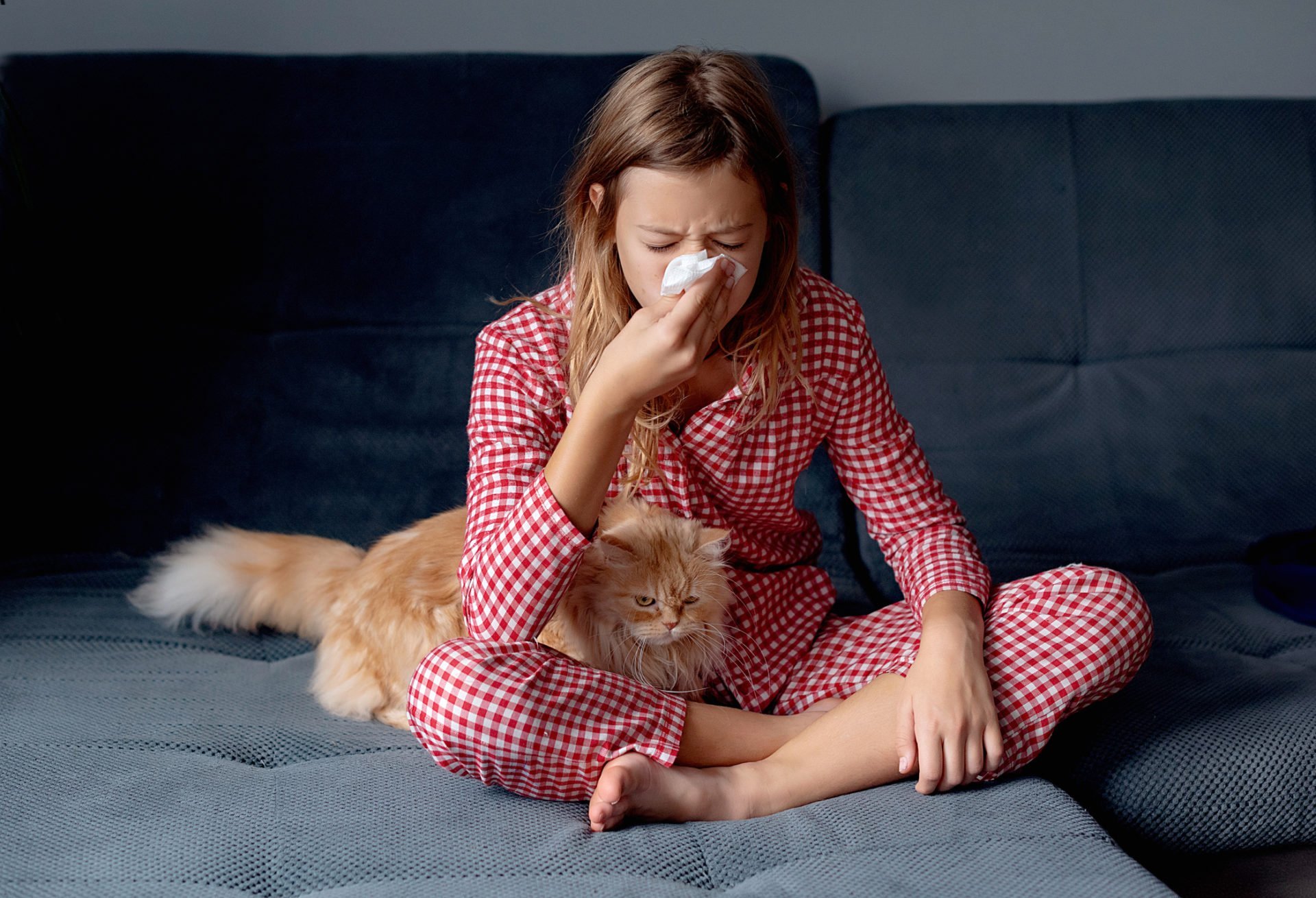 Life-changing pet food hack could stop your cat allergy for good