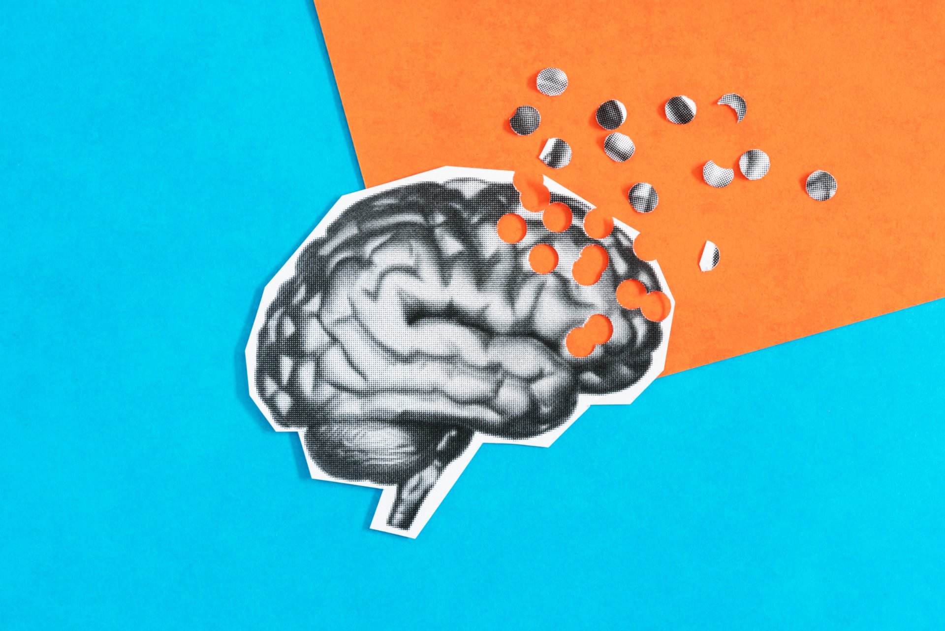 Two new dementia risk factors are completely preventable, say scientists