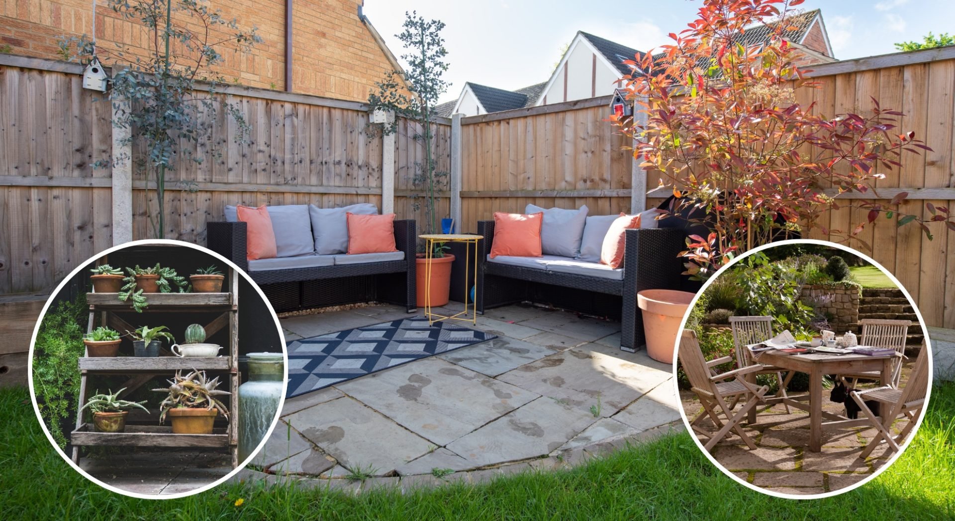 I'm a gardening expert, here are 15 ways to make your small backyard look bigger
