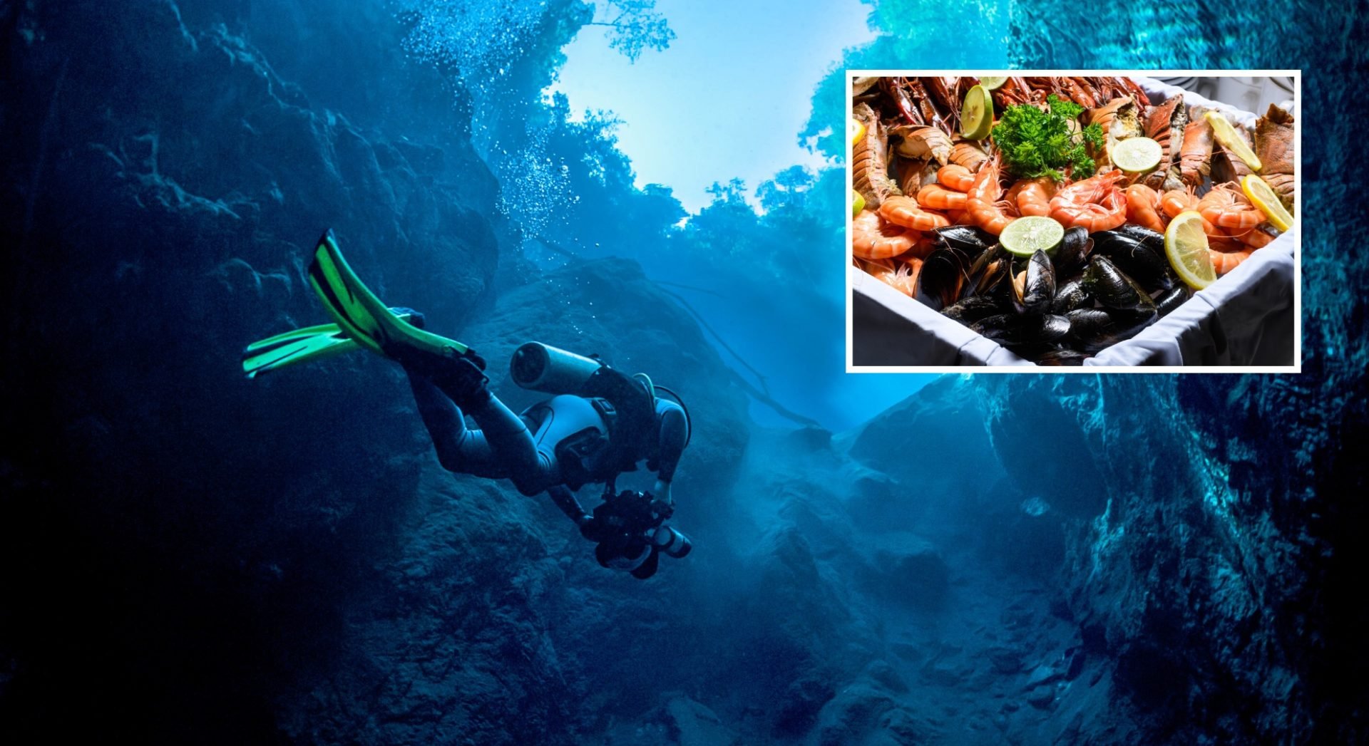 Allergist responds to woman's 'unique' query about scuba diving with a seafood allergy