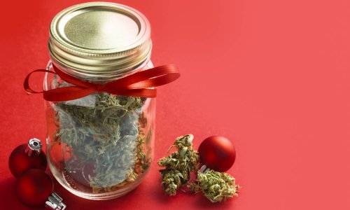 Green Wednesday: Here’s What A New Survey Reveals About Cannabis Shopping Trends