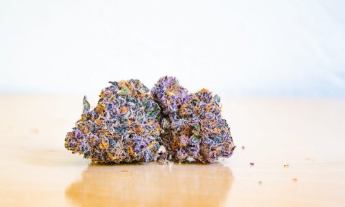 Purple Cannabis — Here’s Why You Should Try It