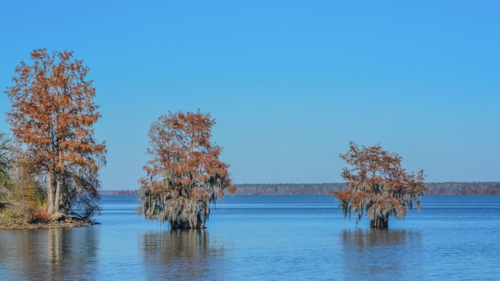 16 of the Best Lakes in South Carolina to Spend a Weekend On