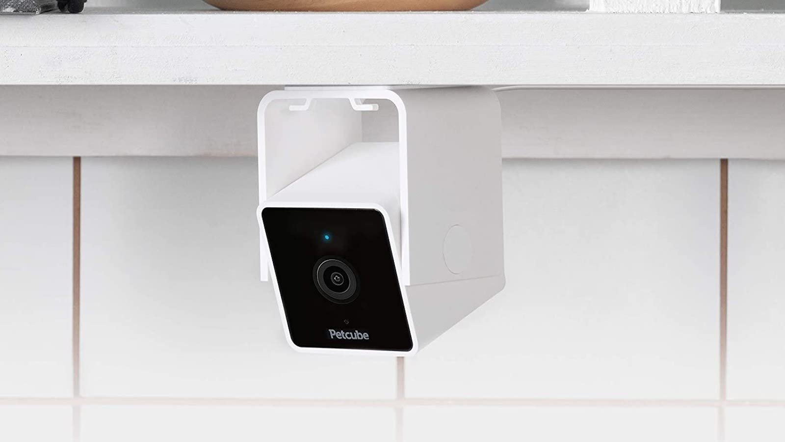 Petcube Cam pet monitoring camera has a built-in chat with your vet
