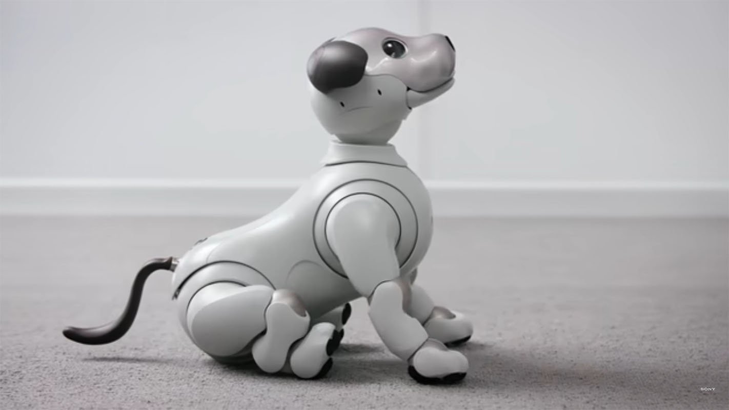 Top 5 robots you can buy for your home today
