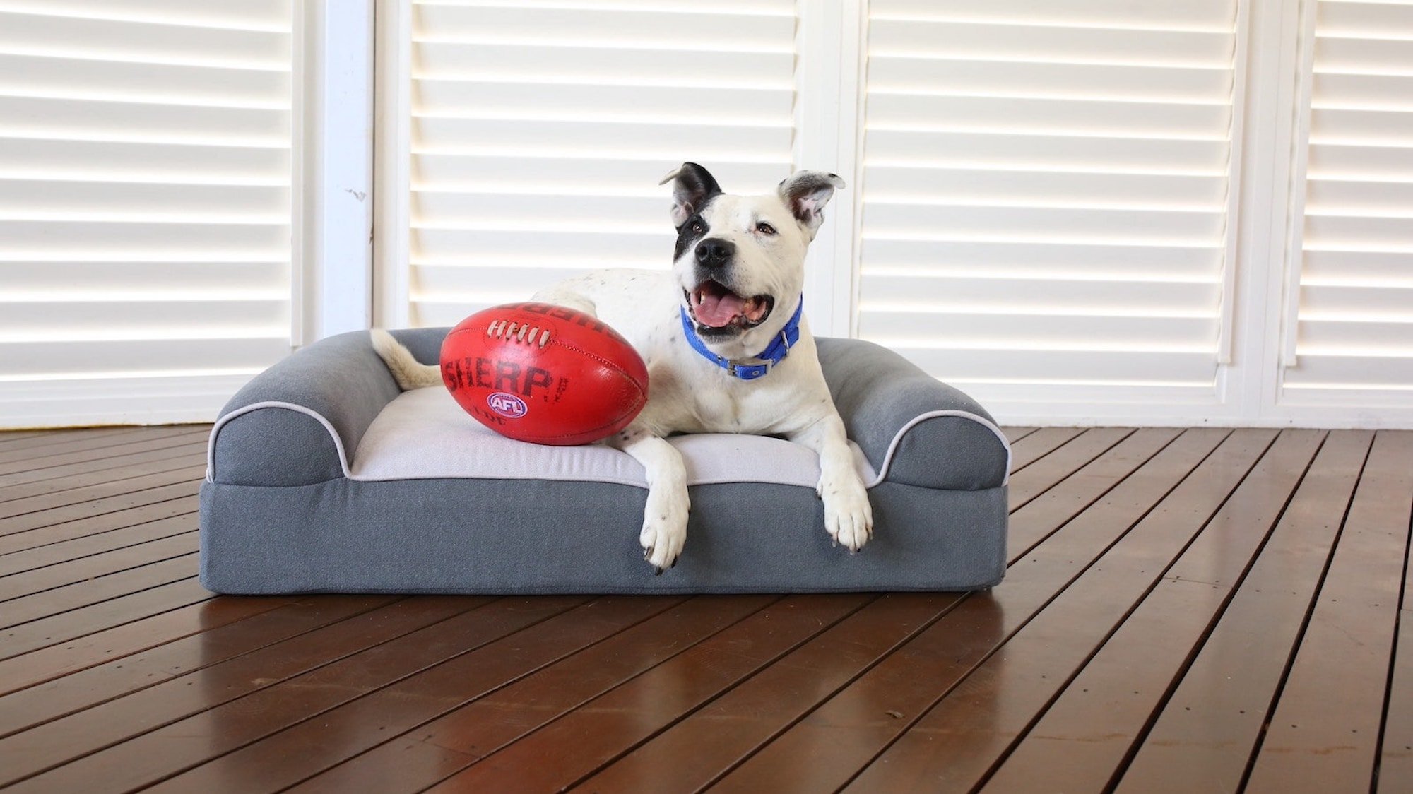 This dog bed helps improve your older dog’s quality of life