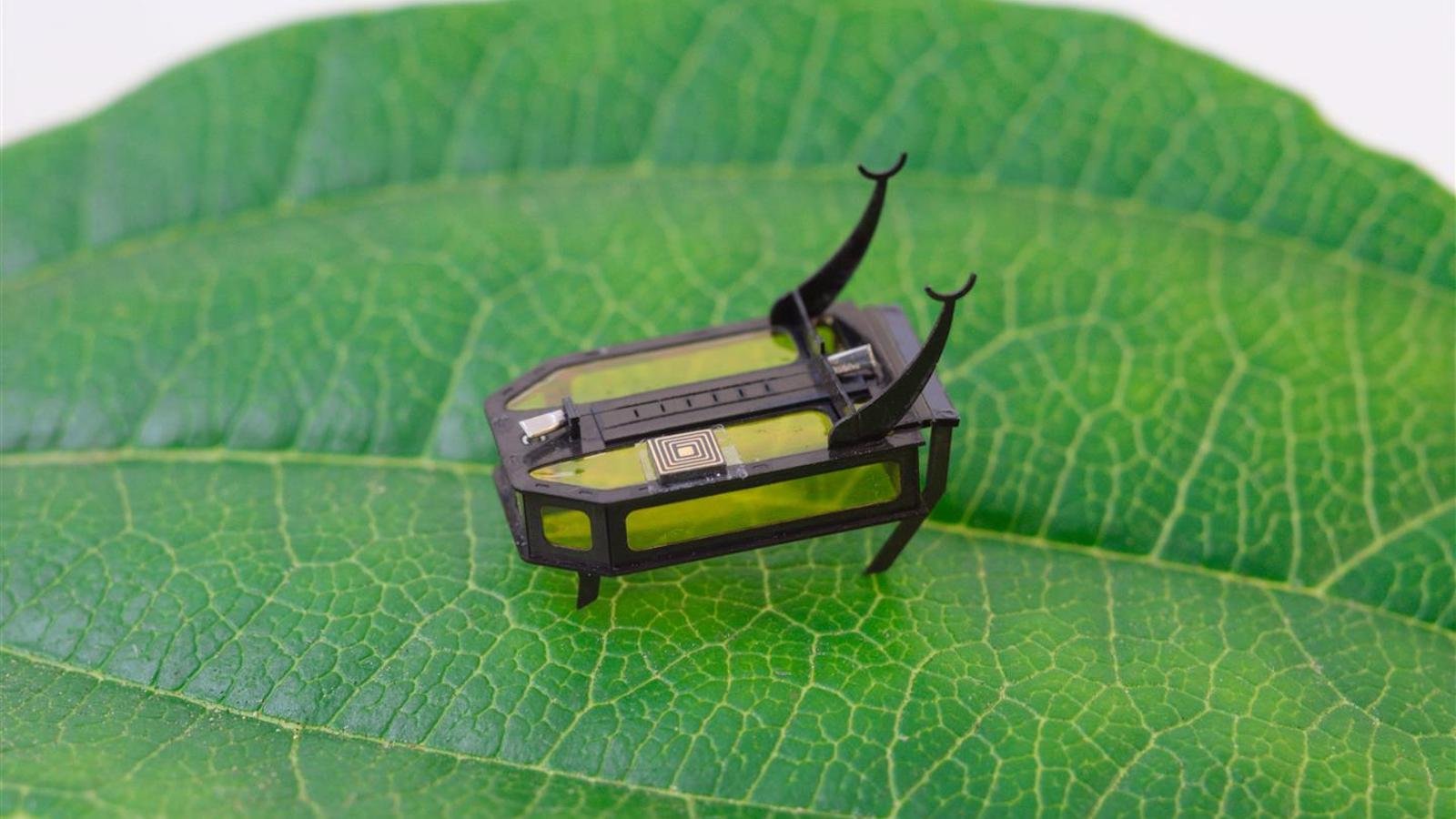 Science Robotics RoBeetle insect-sized microbot runs on methanol
