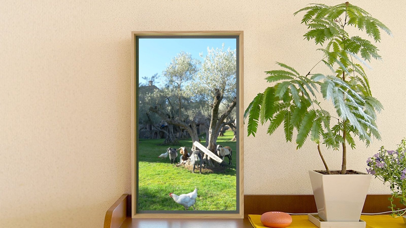 Atmoph Window 2 Smart Wall Scenery Display lets you choose from 1,000 beautiful visuals