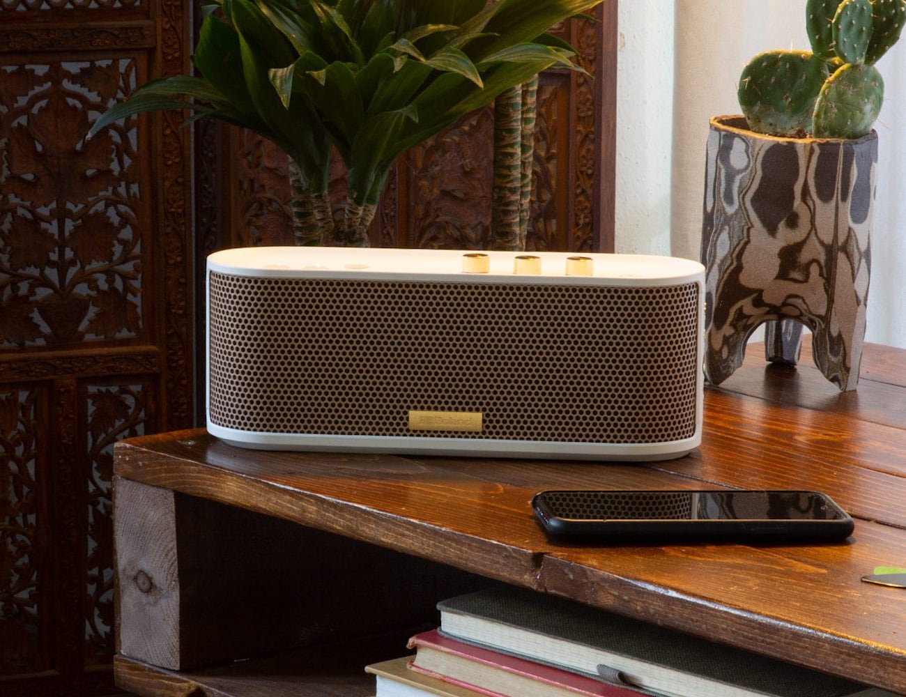 Roland BTM-1 Bluetooth speaker with instrument input lets you play along to your songs