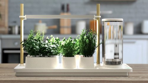 Best smart kitchen garden to buy in 2022