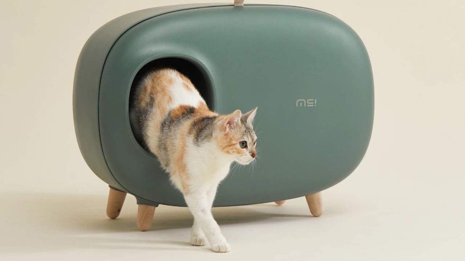 Makesure Modern Cat Litter Box keeps all your kitty’s bathroom supplies organized