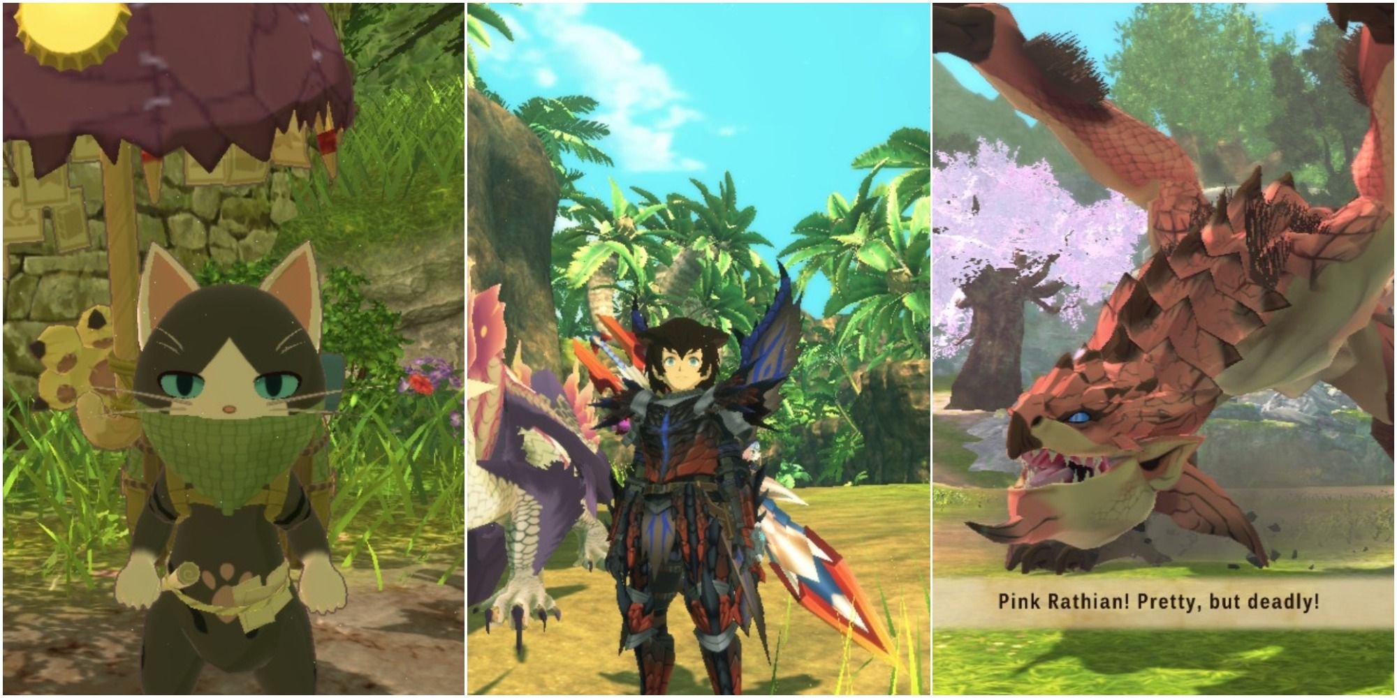 9 Things To Do Once You Complete Monster Hunter Stories 2: Wings Of Ruin