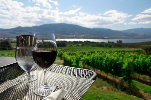 Nine Canadian wines to buy now as ‘buy local’ sentiments soar