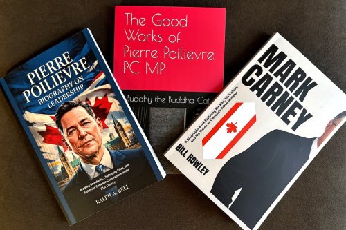 Canadian political biographies latest in rising pile of AI-generated books scamming customers online