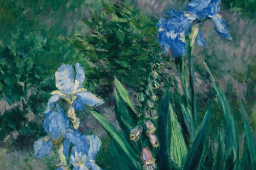 Art Gallery of Ontario buys Blue Irises painting for more than $1-million, ending years of dispute