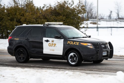 Woman, 81, is dead after dog attack at Northern Ontario home, OPP say