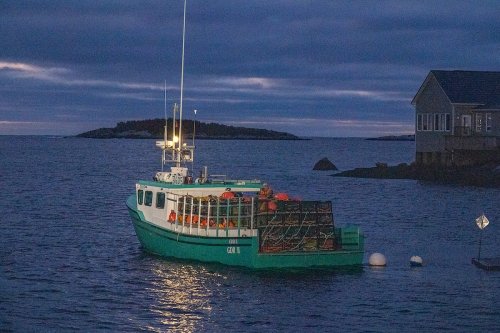 Atlantic Canada’s lobster industry stung by low prices and global economic turmoil