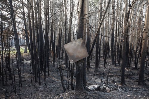 Crews In Alberta See More Intense Wildfire Activity As Dry Conditions ...