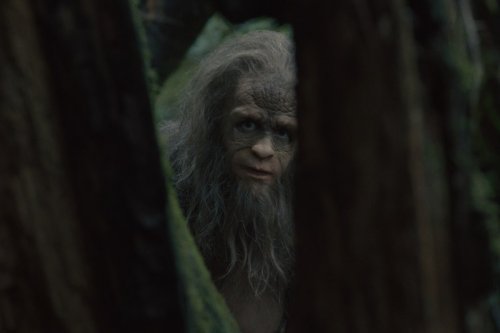 Bizarro comedy Sasquatch Sunset tries to big-foot its way into your heart