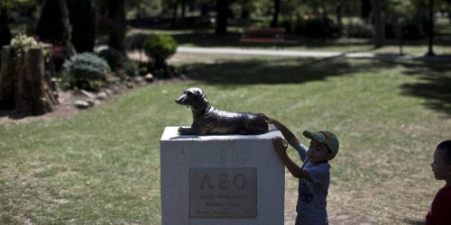 Serbian town honours hero dog who died defending 10-year-old girl