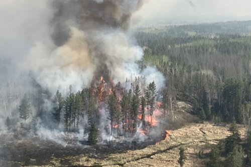 Manitoba Premier declares state of emergency near Whiteshell Provincial Park over wildfires
