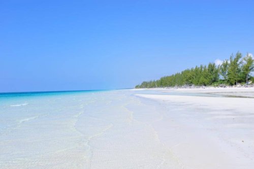 Exploring Grand Bahama (if you can ever leave the beach)