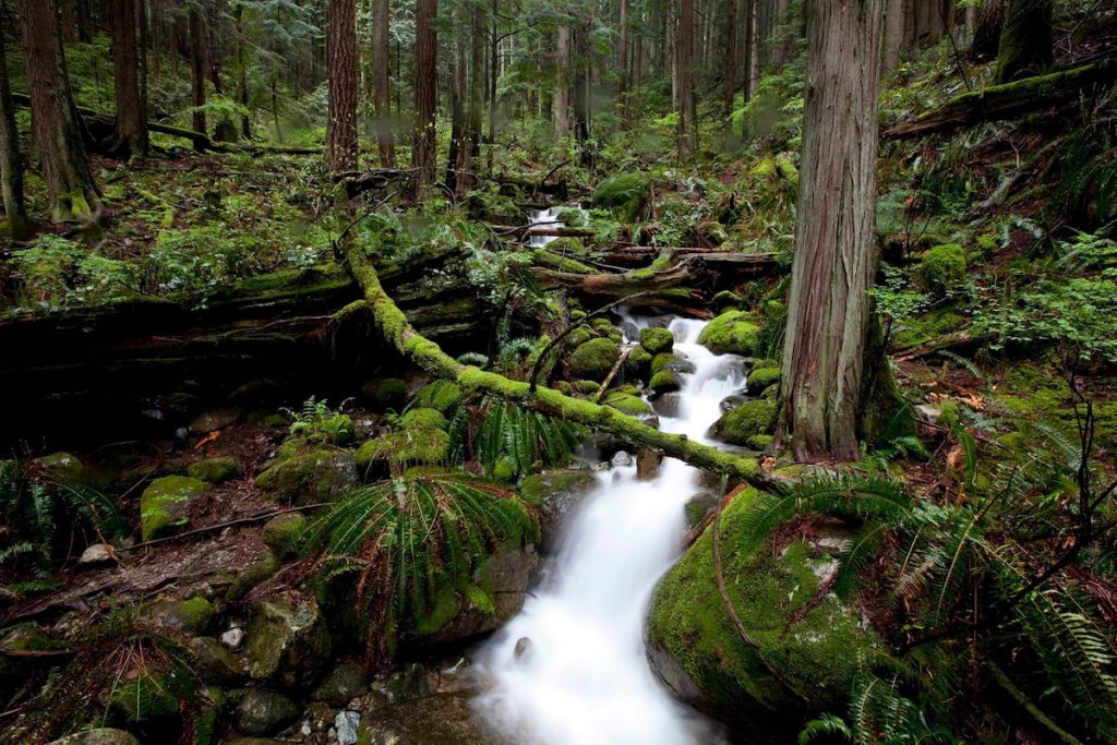 British Columbia
