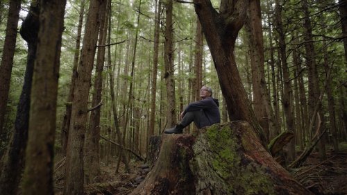 Six must-watch films at Hot Docs 2024
