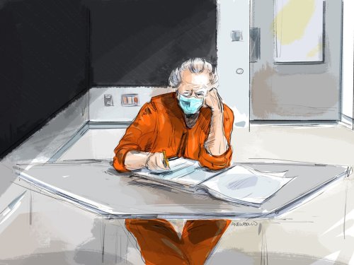 Former Fashion Mogul Peter Nygard Arguing Against Extradition Order At 