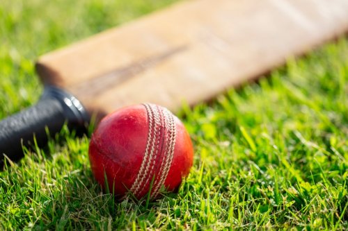 Cricket Canada consults with ‘legal and governance experts’ after CEO charged with theft, fraud