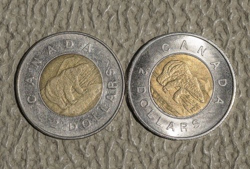 Why would anyone counterfeit the lowly toonie? The answer may lie in China