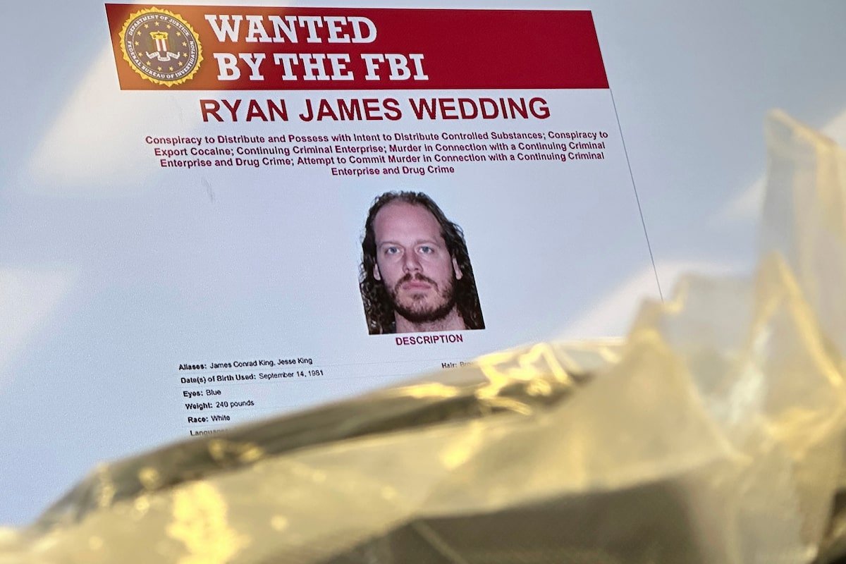 FBI seized phone with messages between jeweller, alleged Ryan Wedding drug ring, court documents show