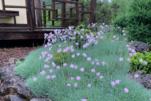 Want to create a soothing garden? Let simple design and soothing colours be your guide