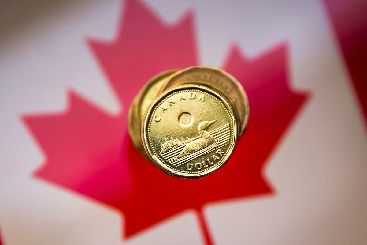 How top currencies performed against the loonie this year