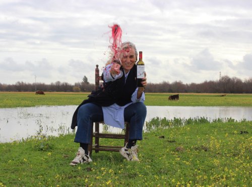 Vinológico, el método pionero de Maite Geijo que aúna neurociencia y enología