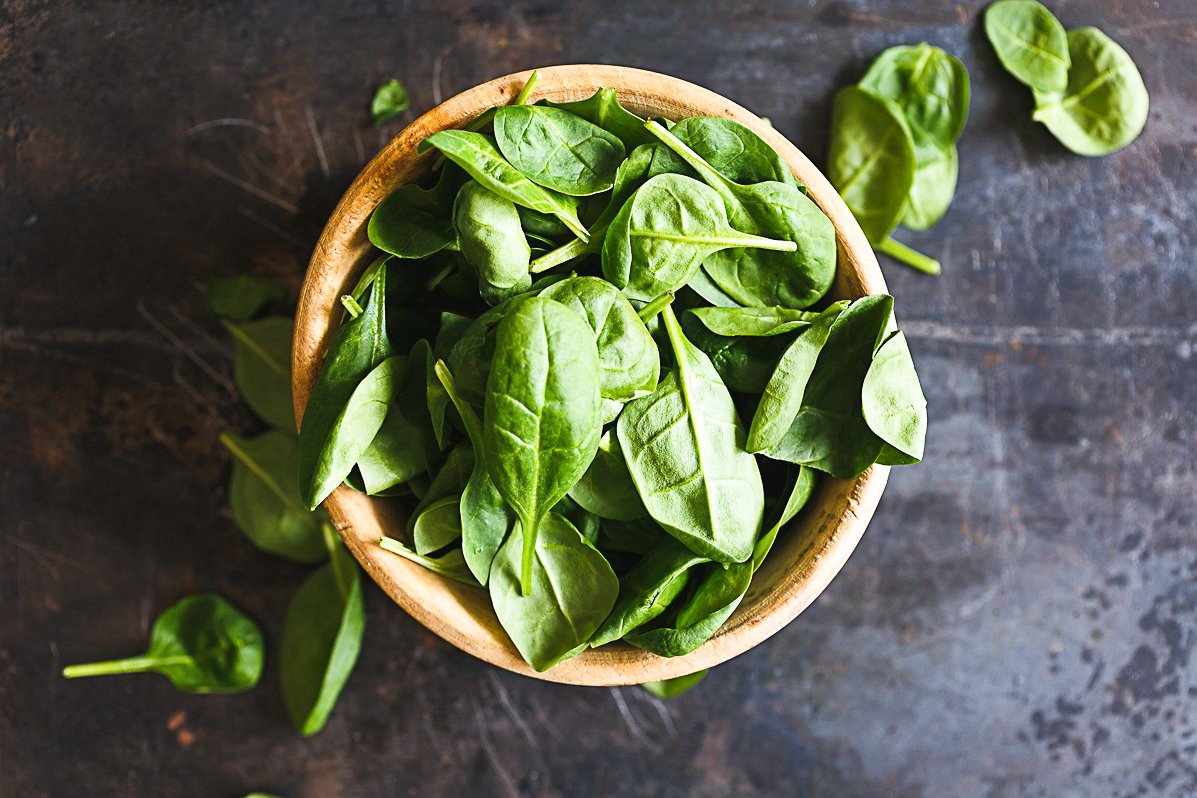5 Tips For Growing Hydroponic Basil At Home - The Green Garden Life
