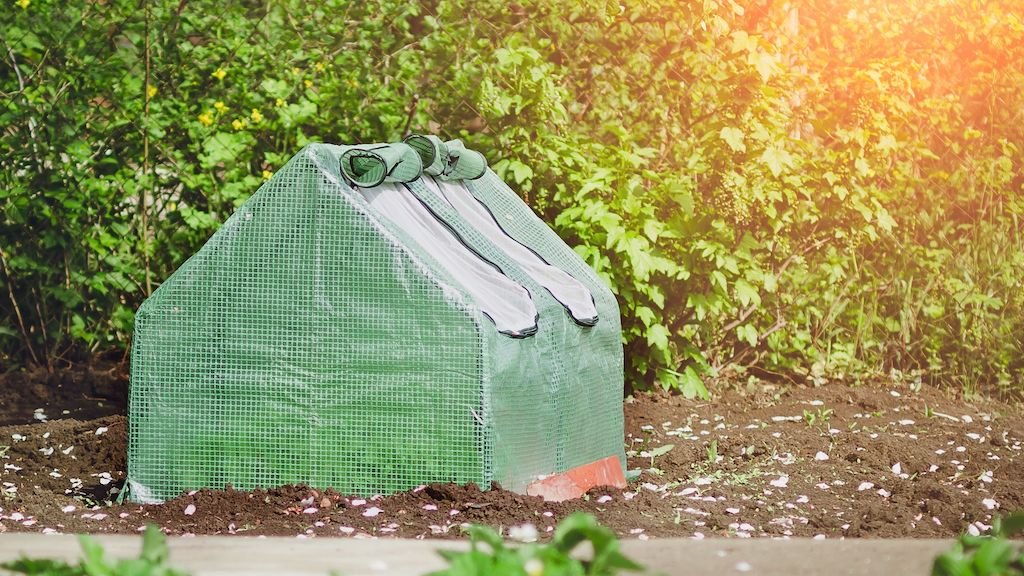 The Best Hobby Greenhouses For Home Gardeners