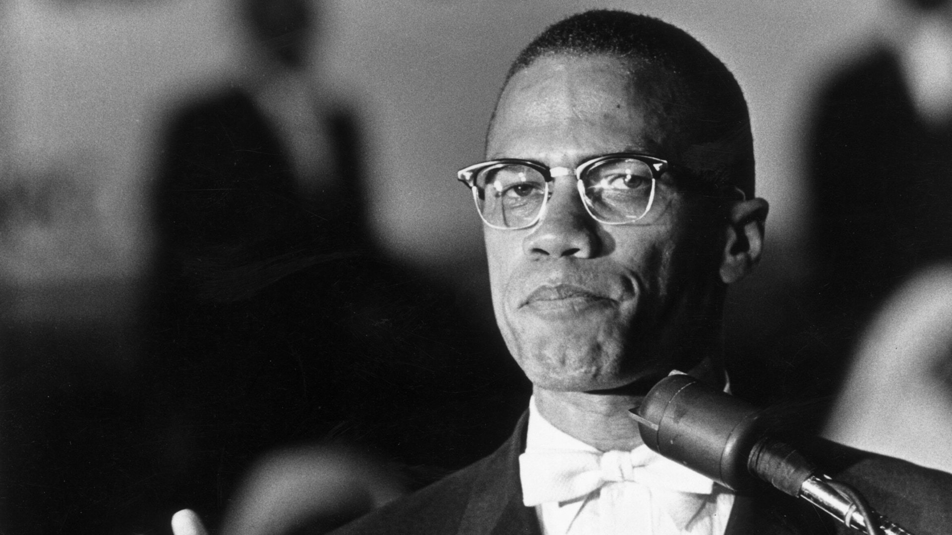 Black History cover image