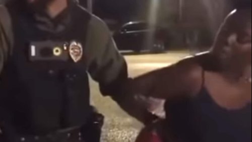 Woman being arrested goes viral: 'You about to lose your job!'