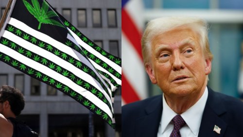 Where does the marijuana legalization movement stand under President Trump?