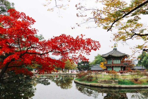 Seoul: Herbst im Gyeongbokgung Palast