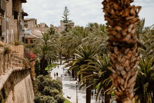 Die besten Sehenswürdigkeiten in Palma de Mallorca 2025