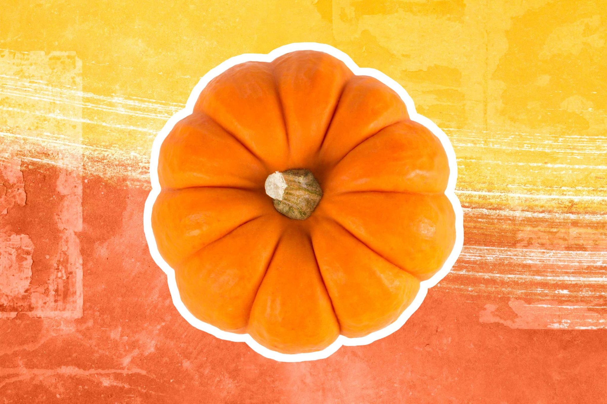 13 Fall Superfoods You Should Add to Your Diet