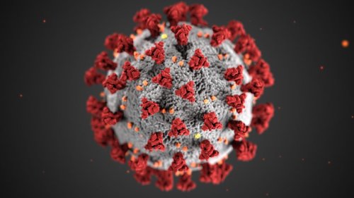 How Can I Prevent Coronavirus?