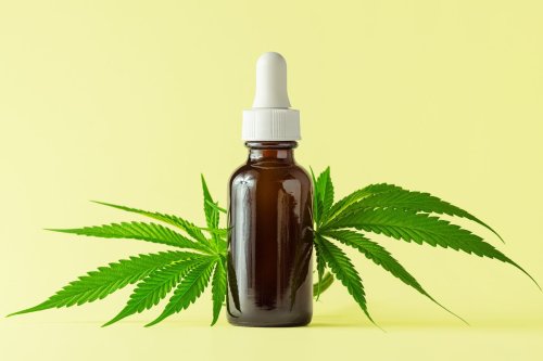 Here’s What You Should Know About CBD Tinctures