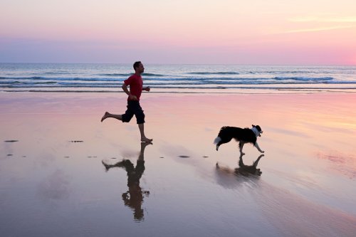 New Research: Exercising at This Time of Day Is Best for Your Heart