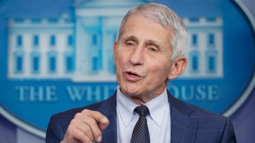 Fauci says DeSantis comments trigger ‘crazy’ people: ‘reason why I have to have security’